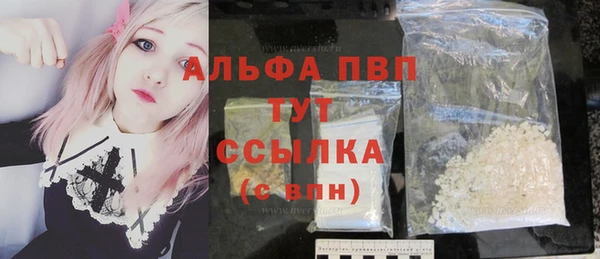 индика Алексин