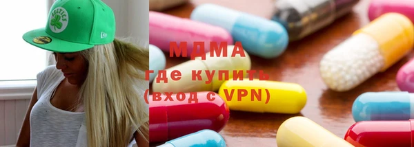 индика Алексин