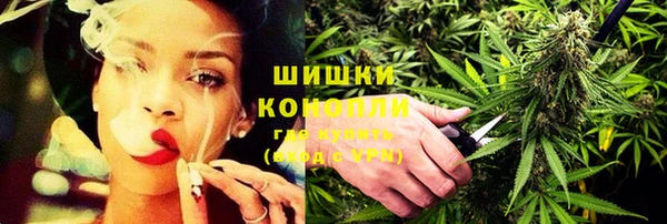 дмт Алзамай