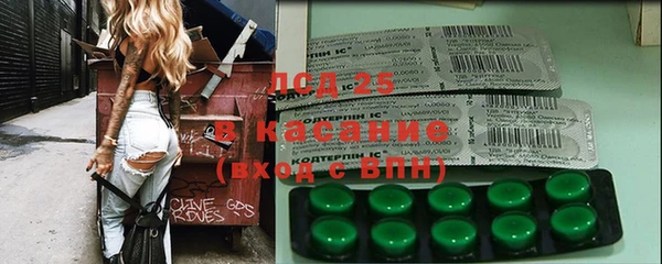 дмт Алзамай
