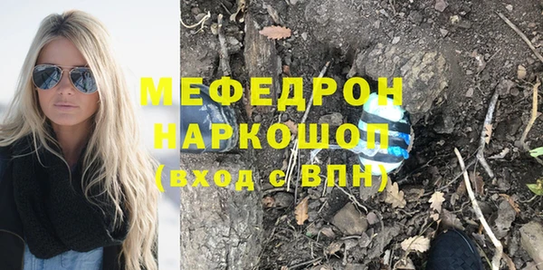 индика Алексин