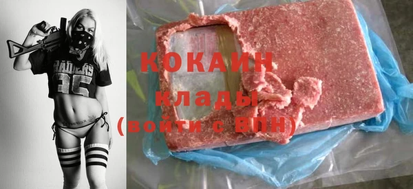 индика Алексин