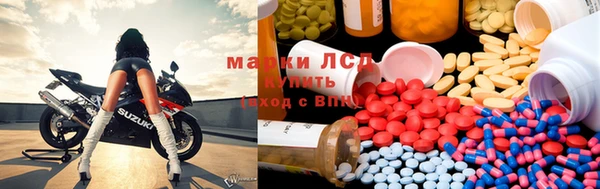 индика Алексин