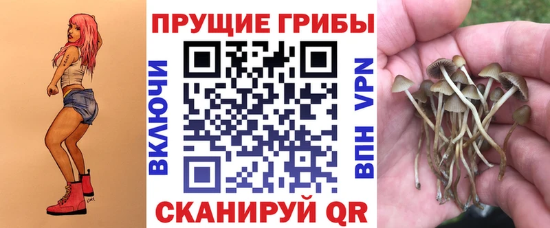 купить  сайты  МЕГА маркетплейс  Галлюциногенные грибы MAGIC MUSHROOMS  Дрезна 